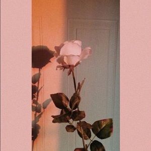 Meet your Posher, Addison